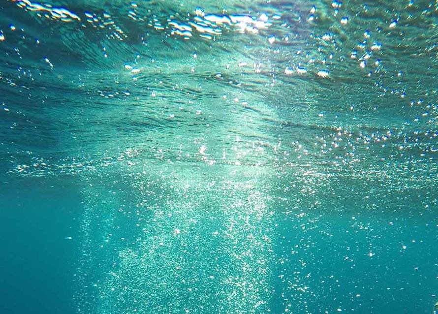 dissolved-oxygen